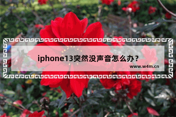 iphone13突然没声音怎么办？