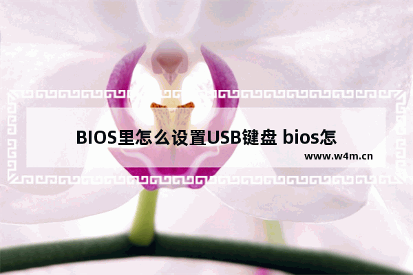 BIOS里怎么设置USB键盘 bios怎么设置usb键盘鼠标