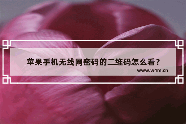 苹果手机无线网密码的二维码怎么看？