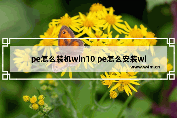 pe怎么装机win10 pe怎么安装win10