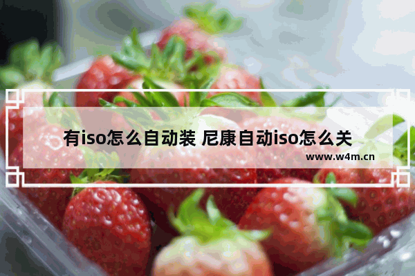 有iso怎么自动装 尼康自动iso怎么关