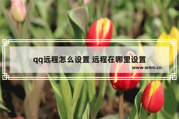 qq远程怎么设置 远程在哪里设置