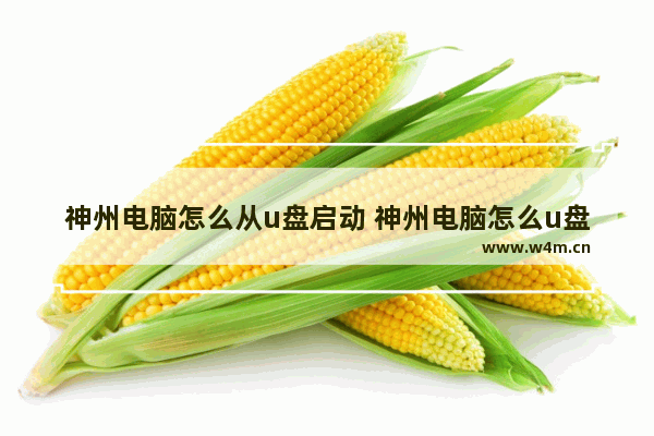 神州电脑怎么从u盘启动 神州电脑怎么u盘启动项