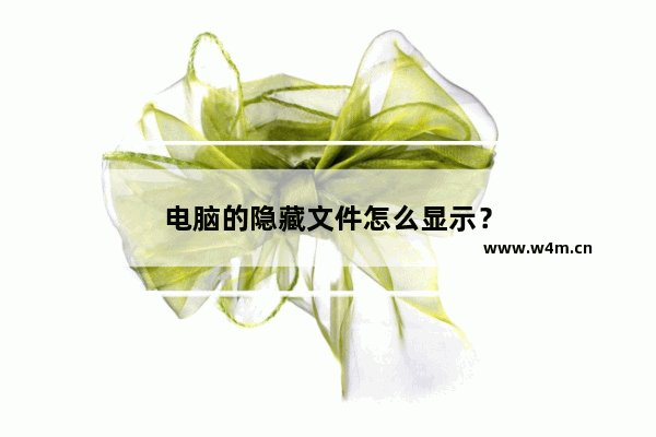 电脑的隐藏文件怎么显示？