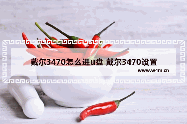 戴尔3470怎么进u盘 戴尔3470设置u盘启动