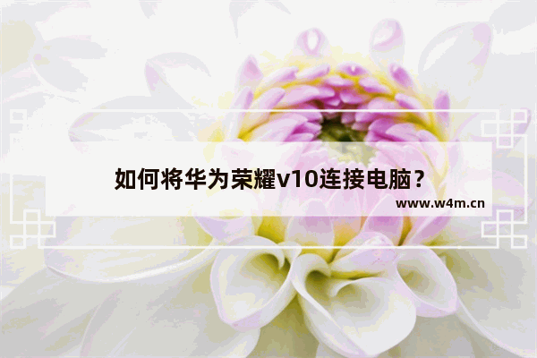 如何将华为荣耀v10连接电脑？