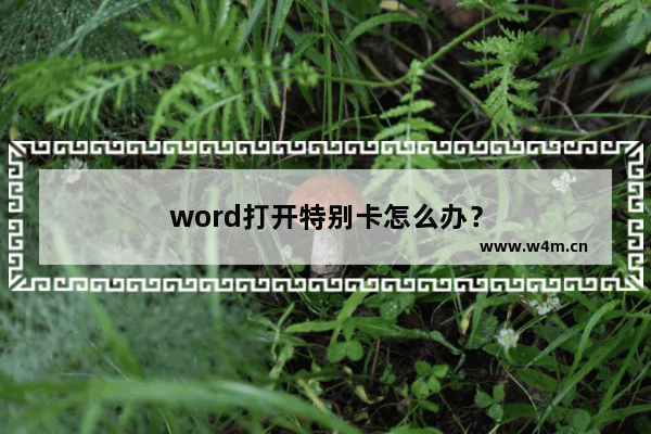 word打开特别卡怎么办？