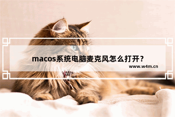 macos系统电脑麦克风怎么打开？