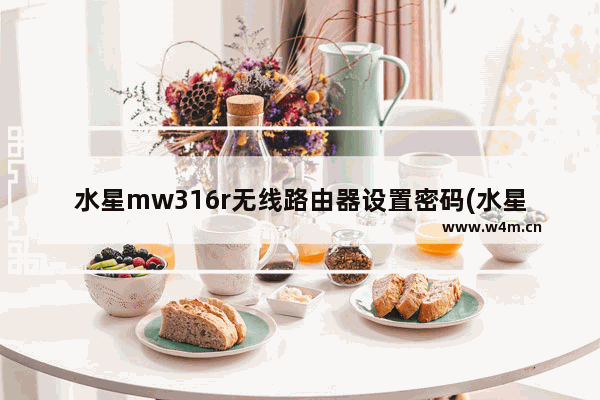 水星mw316r无线路由器设置密码(水星mw313r路由器设置视频教程)