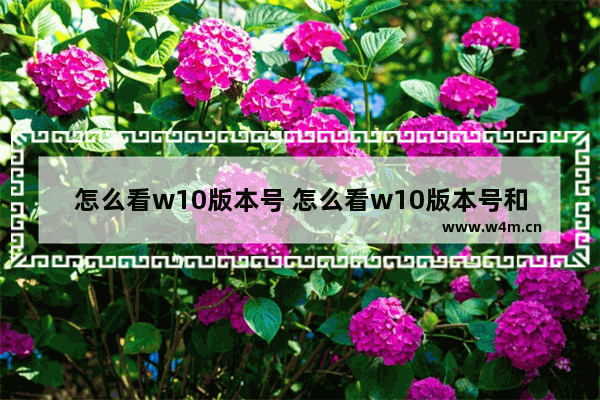 怎么看w10版本号 怎么看w10版本号和型号