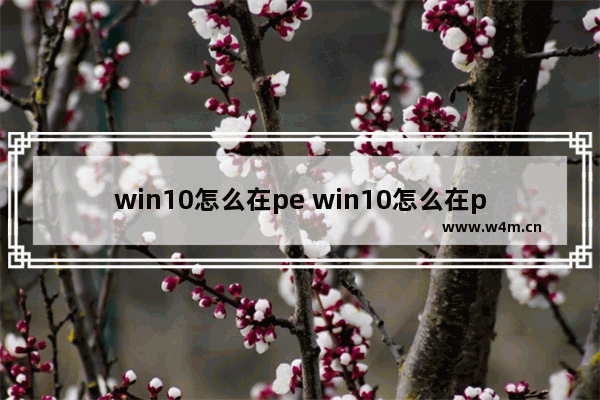 win10怎么在pe win10怎么在pe看桌面文件