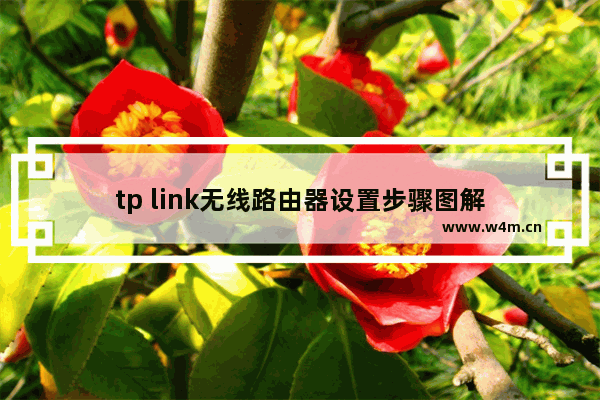 tp link无线路由器设置步骤图解