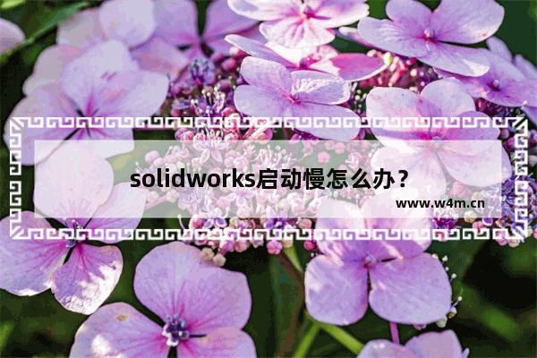 solidworks启动慢怎么办？