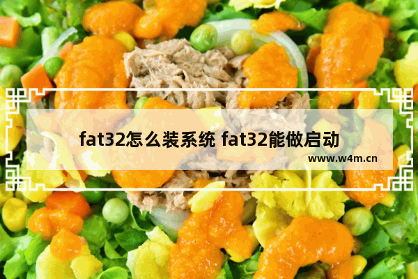 fat32怎么装系统 fat32能做启动盘吗