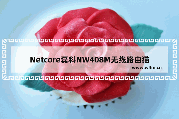 Netcore磊科NW408M无线路由猫ADSL设置上网方法