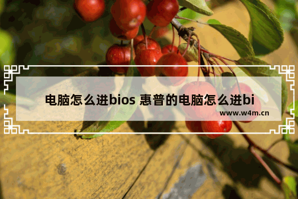 电脑怎么进bios 惠普的电脑怎么进bios