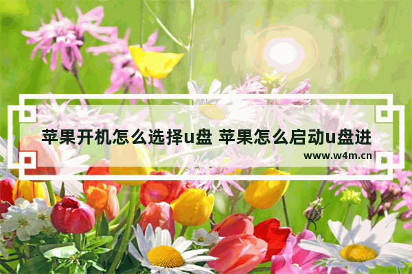 苹果开机怎么选择u盘 苹果怎么启动u盘进pe