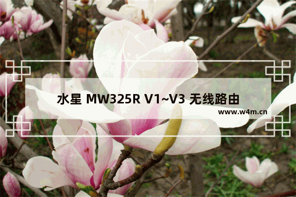 水星 MW325R V1~V3 无线路由器端口映射设置指南