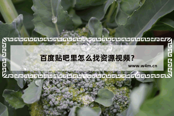 百度贴吧里怎么找资源视频？