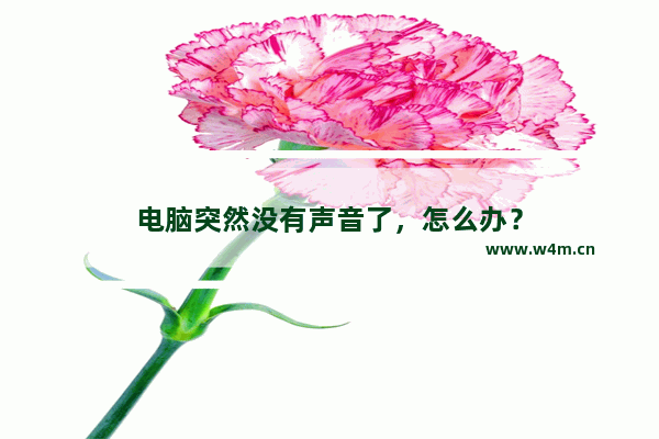 电脑突然没有声音了，怎么办？