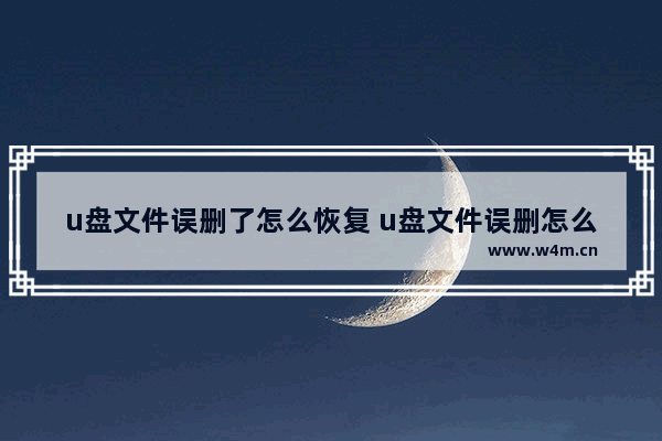 u盘文件误删了怎么恢复 u盘文件误删怎么恢复数据免费的软件