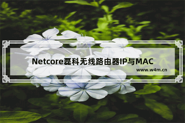 Netcore磊科无线路由器IP与MAC地址绑定设置方法