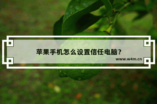 苹果手机怎么设置信任电脑？