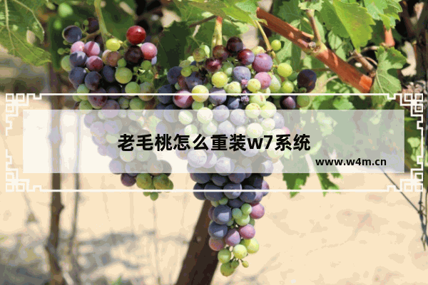 老毛桃怎么重装w7系统