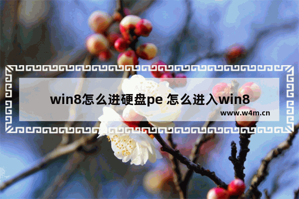 win8怎么进硬盘pe 怎么进入win8pe