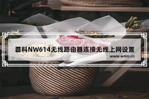 磊科NW614无线路由器连接无线上网设置步骤