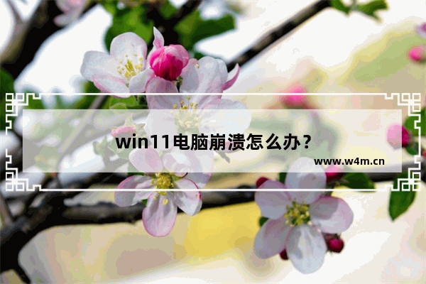 win11电脑崩溃怎么办？