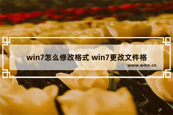 win7怎么修改格式 win7更改文件格式