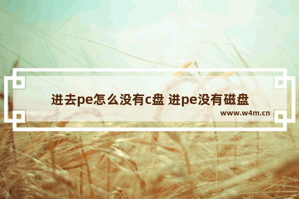 进去pe怎么没有c盘 进pe没有磁盘