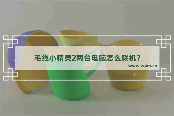 毛线小精灵2两台电脑怎么联机？