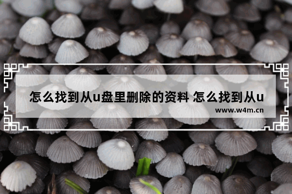 怎么找到从u盘里删除的资料 怎么找到从u盘里删除的资料呢