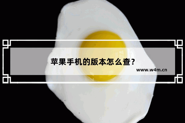 苹果手机的版本怎么查？