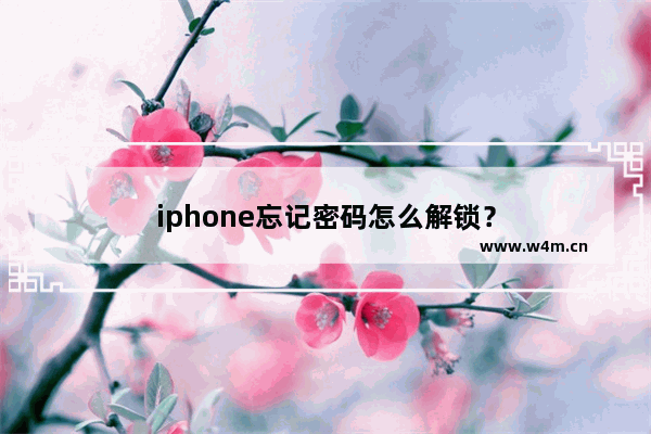 iphone忘记密码怎么解锁？