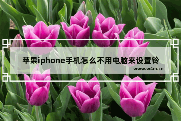 苹果iphone手机怎么不用电脑来设置铃声？