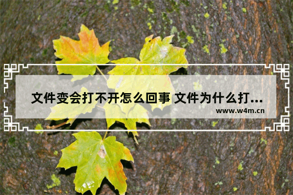 文件变会打不开怎么回事 文件为什么打不开了怎么办