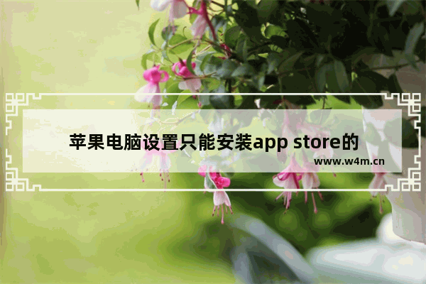 苹果电脑设置只能安装app store的软件