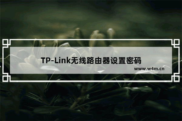 TP-Link无线路由器设置密码