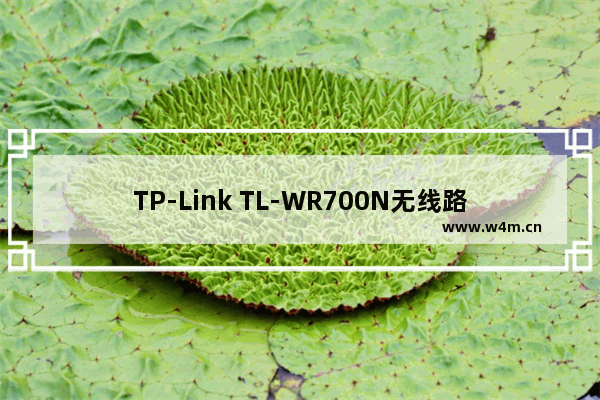 TP-Link TL-WR700N无线路由器设置上网方法