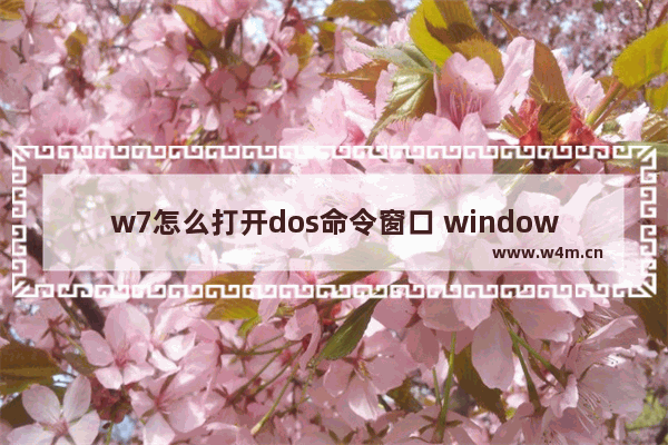 w7怎么打开dos命令窗口 windows7怎么进去dos