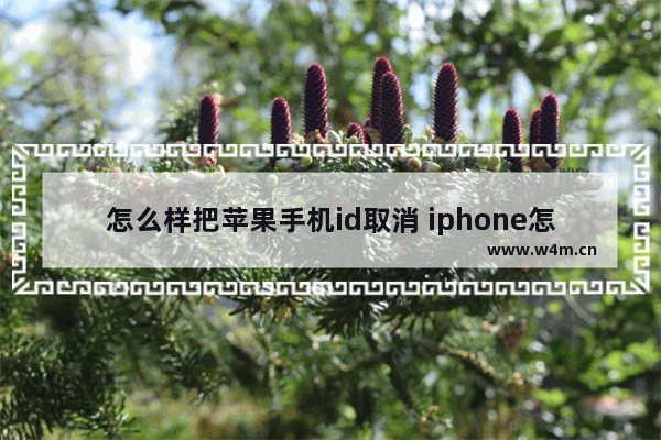 怎么样把苹果手机id取消 iphone怎么取消id