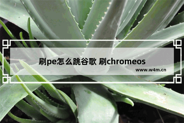 刷pe怎么跳谷歌 刷chromeos