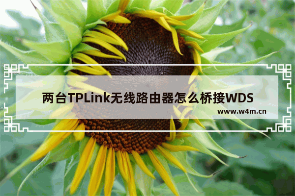 两台TPLink无线路由器怎么桥接WDS