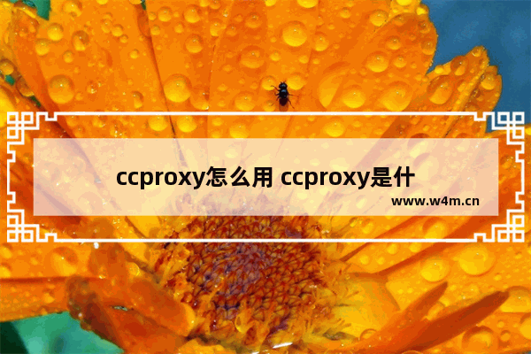 ccproxy怎么用 ccproxy是什么软件