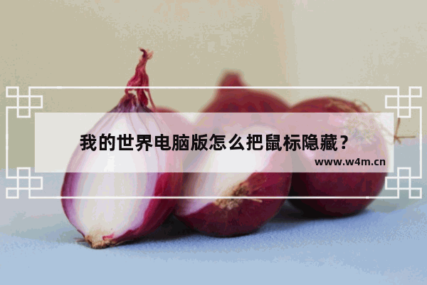 我的世界电脑版怎么把鼠标隐藏？