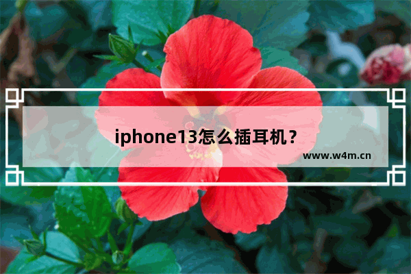 iphone13怎么插耳机？