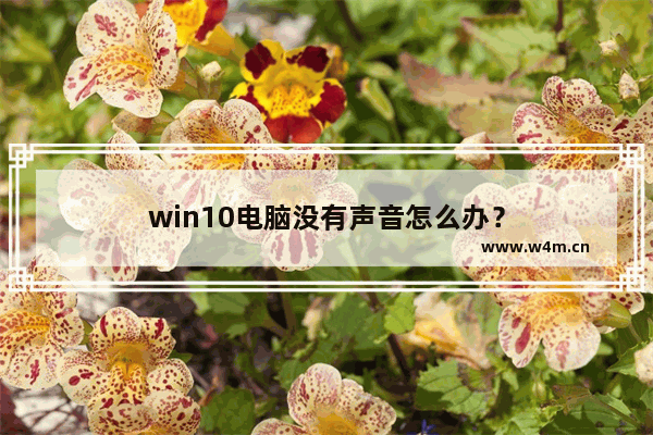 win10电脑没有声音怎么办？